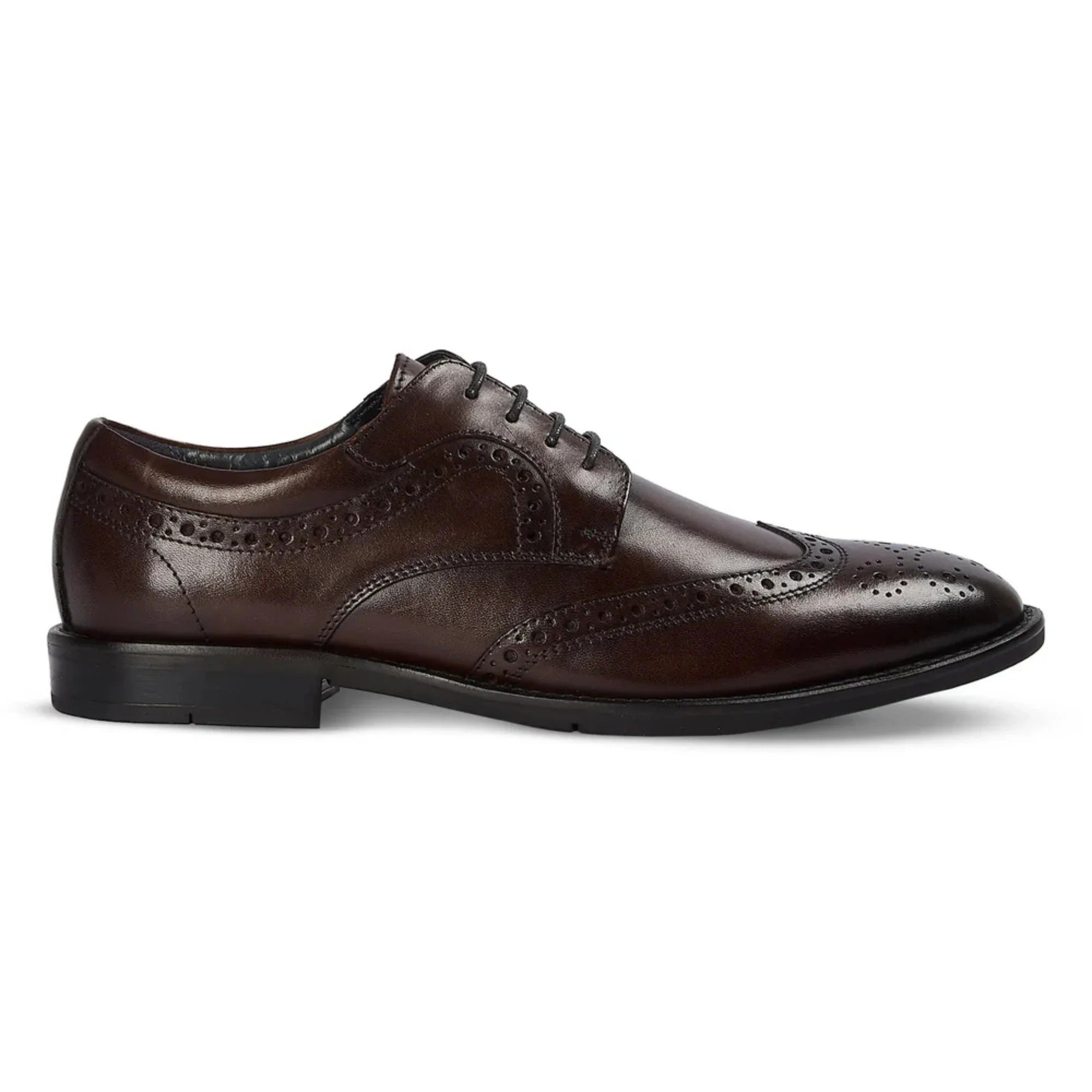 Cambridge - Ανδρικά σκούρα καφέ παπούτσια Wingtip Brogue Derby