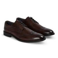 Cambridge - Ανδρικά σκούρα καφέ παπούτσια Wingtip Brogue Derby